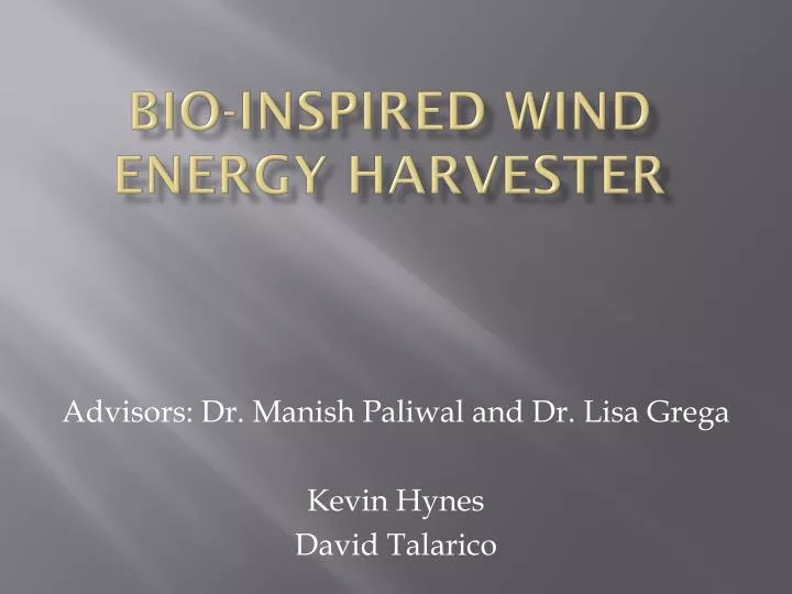 bio inspired wind energy harvester