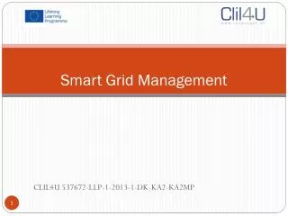 Smart Grid Management