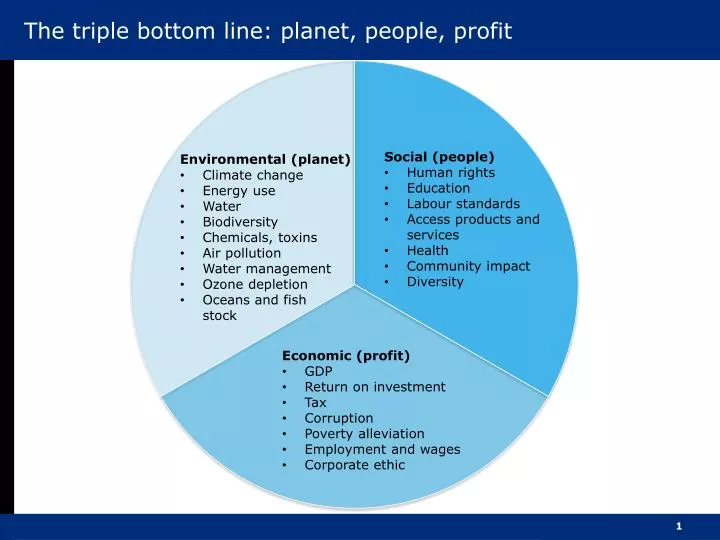 the triple bottom line planet people profit