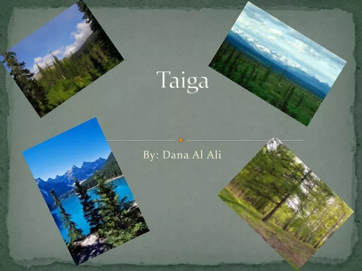 taiga