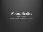 Wound Healing - slide 1