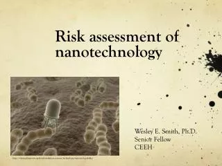 Risk assessment of nanotechnology