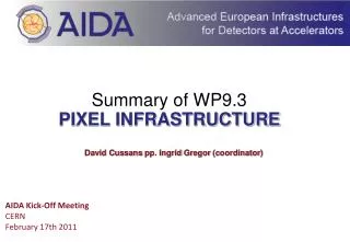Summary of WP9.3 PIXEL INFRASTRUCTURE