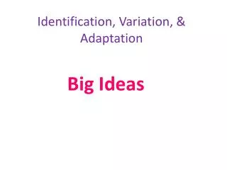 Identification, Variation, &amp; Adaptation