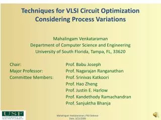 Techniques for VLSI Circuit Optimization Considering Process Variations