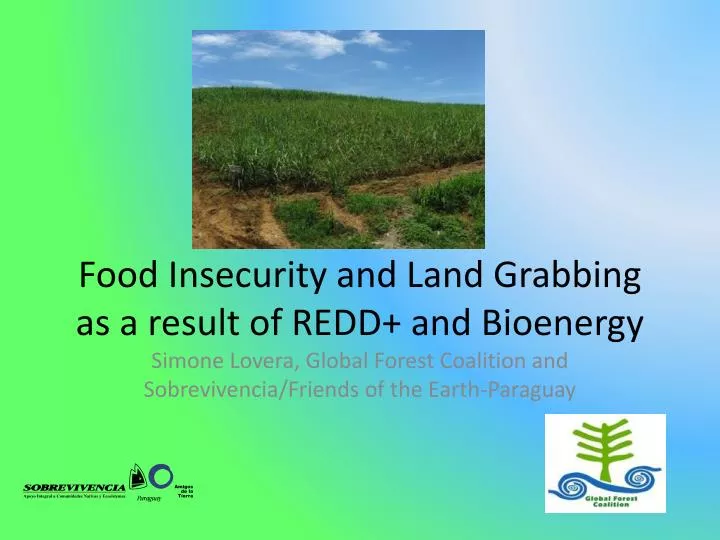 food insecurity and land grabbing as a result of redd and bioenergy