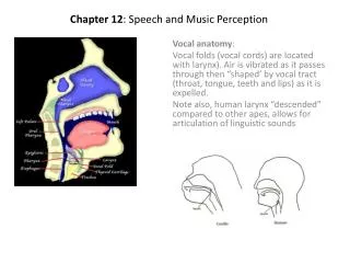 Chapter 12 : Speech and Music Perception
