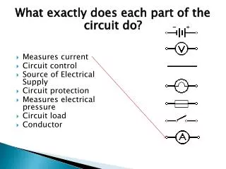 What exactly does each part of the circuit do?