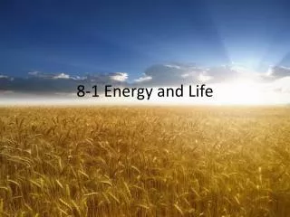 8-1 Energy and Life