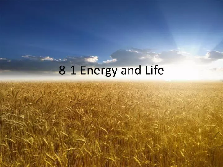 8 1 energy and life