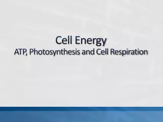 Cell Energy ATP, Photosynthesis and Cell Respiration