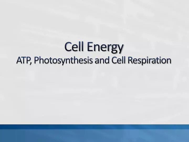 cell energy atp photosynthesis and cell respiration
