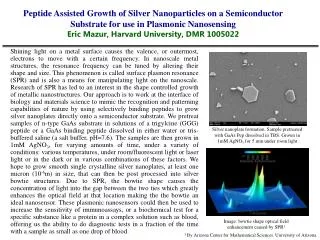 Peptide Assisted Growth of Silver Nanoparticles on a Semiconductor Substrate for use in Plasmonic N anosensing Eric Maz
