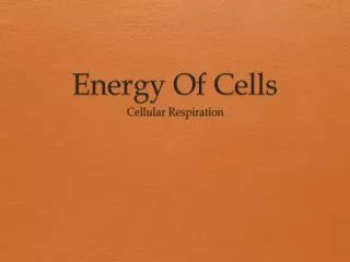 Energy Of Cells