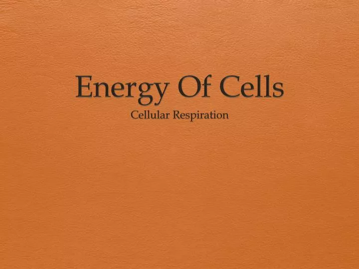 energy of cells