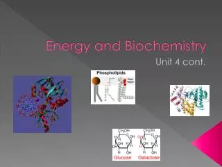 Energy and Biochemistry