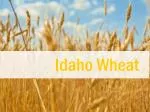 Idaho Wheat - slide 1