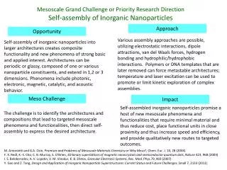 Mesoscale Grand Challenge or Priority Research Direction Self-assembly of Inorganic Nanoparticles