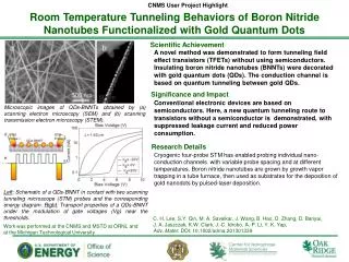 Room Temperature Tunneling Behaviors of Boron Nitride Nanotubes Functionalized with Gold Quantum Dots