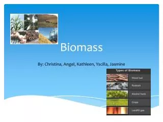 Biomass