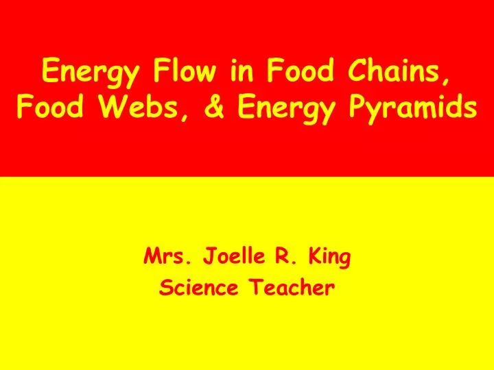 energy flow in food chains food webs energy pyramids