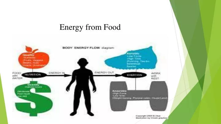 energy from food