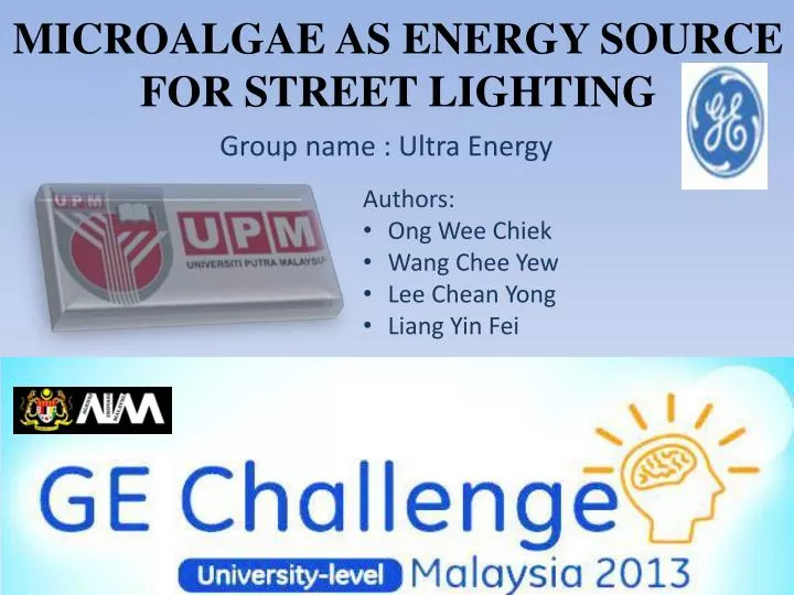 microalgae as energy source for street lighting