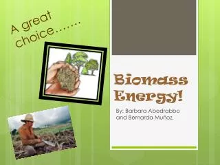 Biomass Energy!
