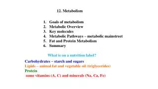 12. Metabolism
