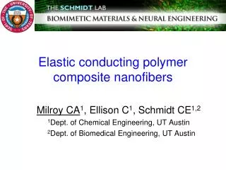 Elastic conducting polymer composite nanofibers