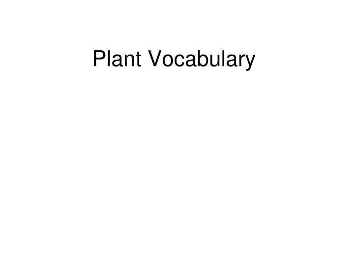 plant vocabulary