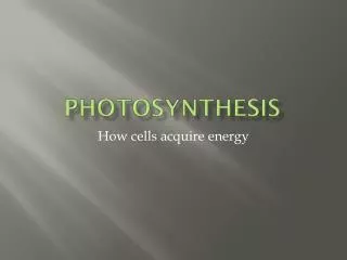 Photosynthesis