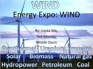 Energy Expo: WIND