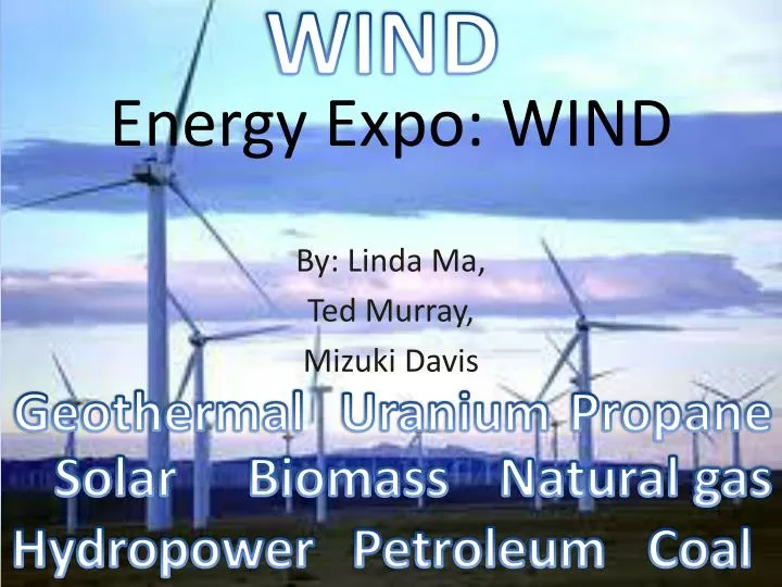 energy expo wind