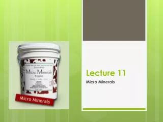 Lecture 11