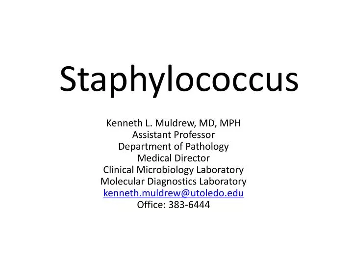 staphylococcus