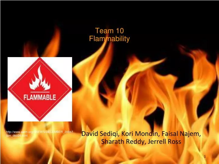 team 10 flammability