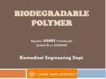 BIODEGRADABLE POLYMER - slide 1