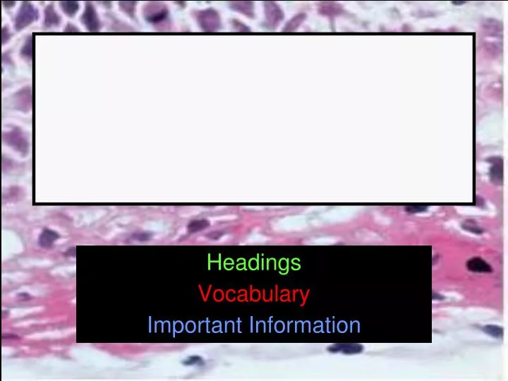 headings vocabulary important information