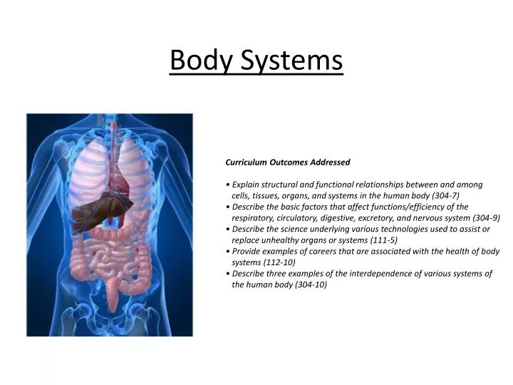 body systems