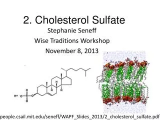 2 . Cholesterol Sulfate