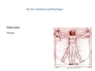 Bio 211- Anatomy and Physiology I