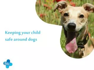 Keeping your child s afe around dogs
