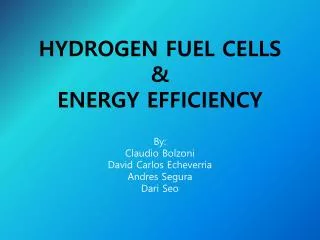 HYDROGEN FUEL CELLS &amp; ENERGY EFFICIENCY