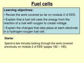 Fuel cells