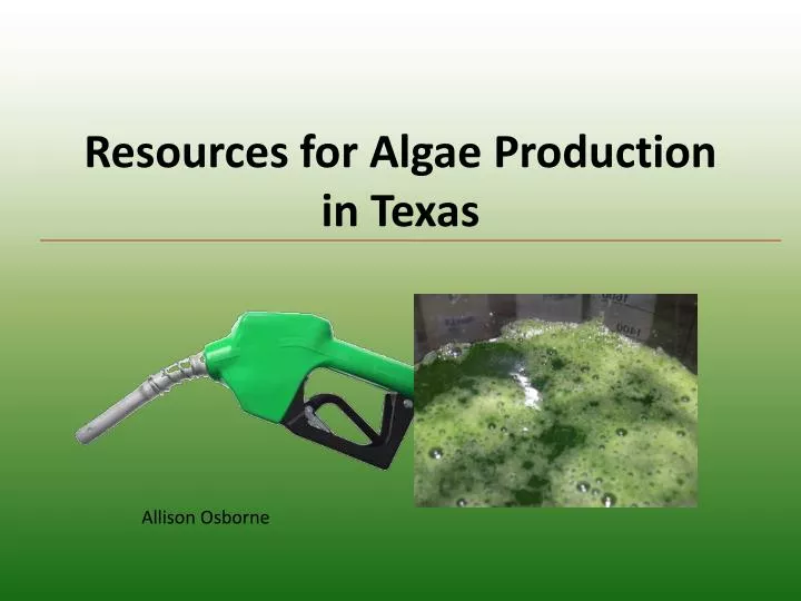 resources for algae production in texas