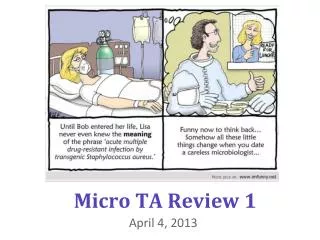 Micro TA Review 1