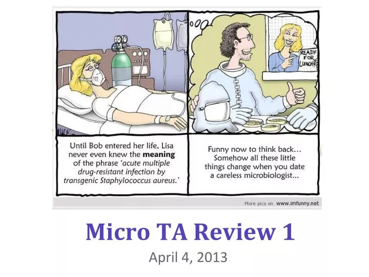 micro ta review 1