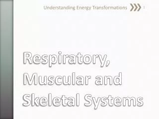 Respiratory, Muscular and Skeletal Systems