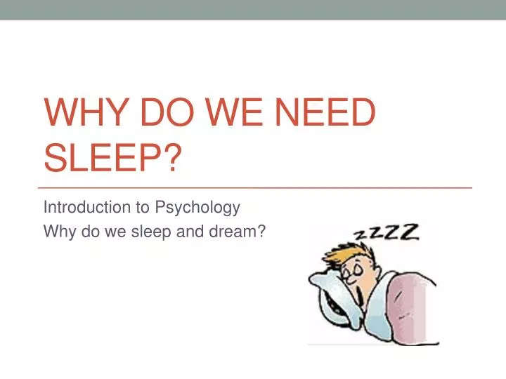 why do we need sleep